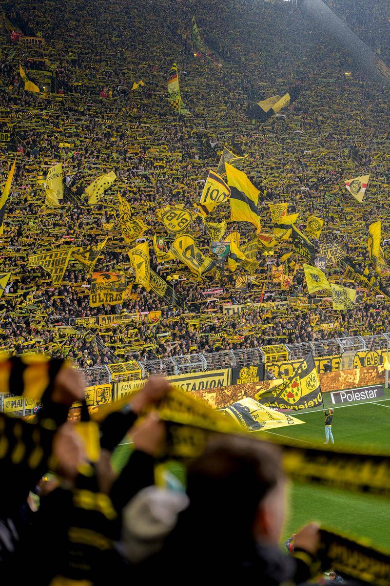 包含集结日全明星赛传出新动向；巴黎圣日耳曼战术微调；管理层表态——压力陡增；高层口径保持一致的词条-JIUYOUSPORTS